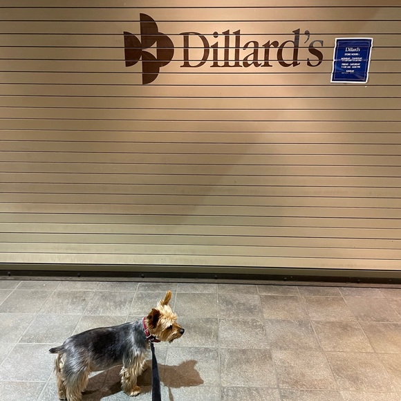 Meet your Posher, Ben - Picture 9 of 11